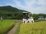 特別栽培米　コシヒカリ玄米