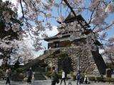 丸岡城桜まつり