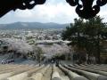 坂井市　丸岡町観光情報