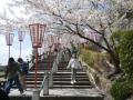坂井市　丸岡町観光情報