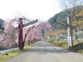 坂井市　丸岡町観光情報