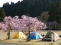 坂井市　丸岡町観光情報