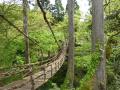 池田町　観光情報