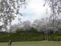 西山公園