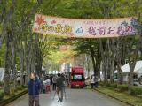 越前紅葉まつり（2025）