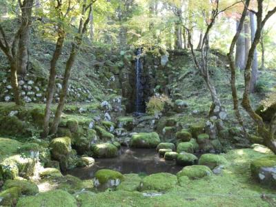 苔生した庭園③