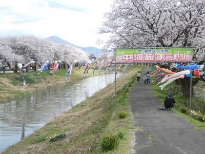 中河桜まつり